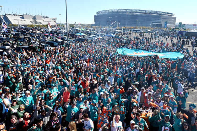 Dolfans NYC fans