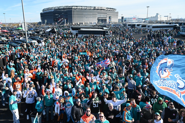 Dolfans NYC fans