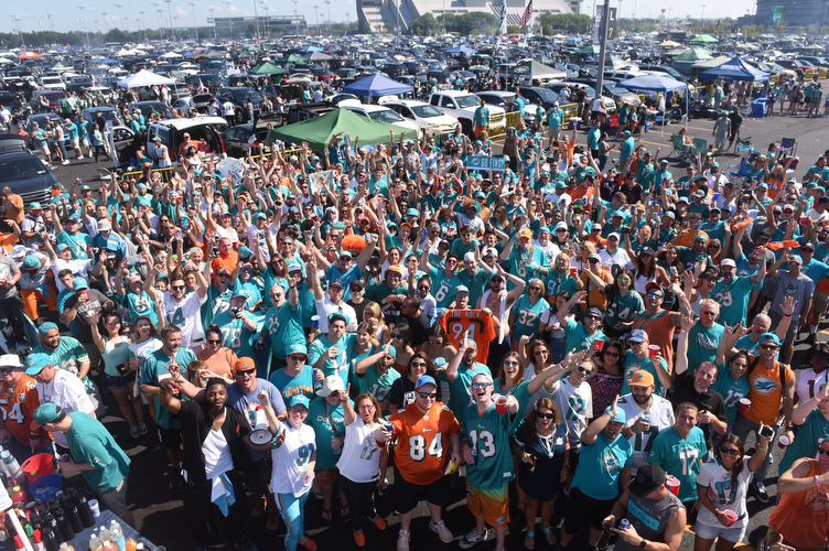 Dolfans NYC fans